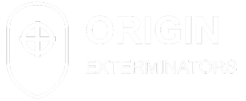 Origin