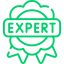 expert